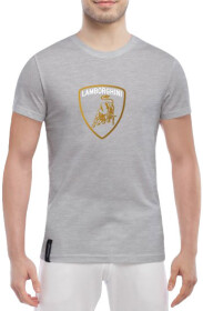 Футболка мужская Globuspioner классическая Lamborghini Logo Gold серый спереди
