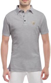 Футболка чоловіча Globuspioner поло Lamborghini Logo Gold сіра принт спереду