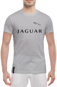 Футболка мужская Globuspioner классическая Jaguar Big Logo серый спереди