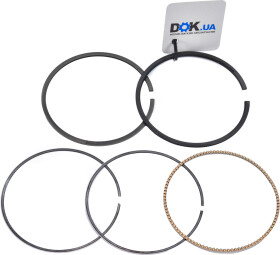 Комплект поршневых колец Hastings Piston Rings 2M4923S
