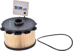 Головне фото