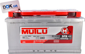 Аккумулятор Mutlu 6 CT-100-R S3 D31100085C