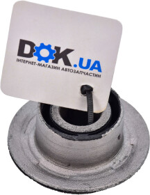 Головне фото