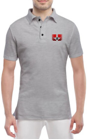 Футболка мужская Globuspioner поло Mini Cooper Big Logo Red серый спереди