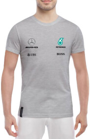 Футболка чоловіча Globuspioner класична Mercedes-Benz Logos сіра принт спереду