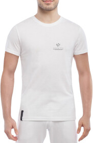 Футболка мужская Globuspioner классическая Renault Mini Logo Silver белый спереди