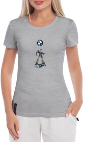 Футболка женская Globuspioner классическая BMW Transformer серая принт спереди