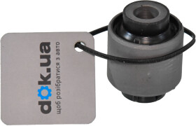 Головне фото