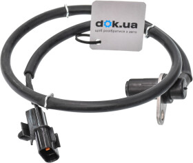 Головне фото