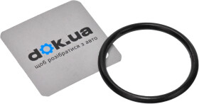 Прокладка приемной трубы MTS 02.9691