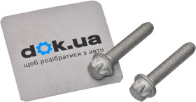 Комплект цепи привода распредвала General Motors 11098761