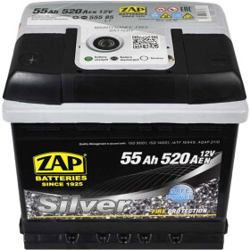 Аккумулятор ZAP 6 CT-55-L Silver 55585Z