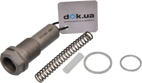 Натягувач ланцюга ГРМ INA 551012210