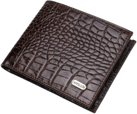 Портмоне-органайзер Canpellini 21870 без логотипа авто коричневый