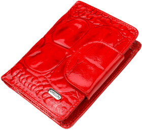 Портмоне-органайзер Canpellini 21681 без логотипа авто красный