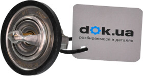 Термостат Rider RD1517489887