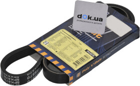 Головне фото