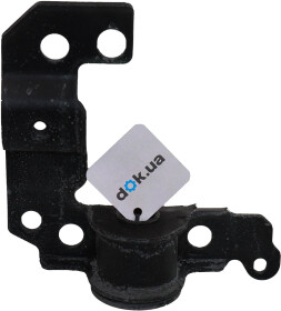 Головне фото