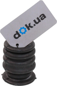 Головне фото