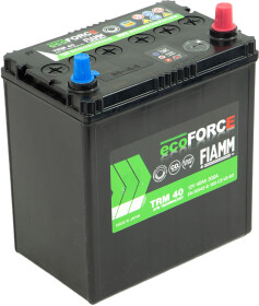 Аккумулятор Fiamm 6 CT-40-R Ecoforce AFB TRM40