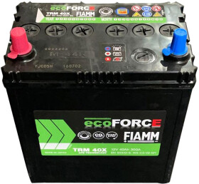 Аккумулятор Fiamm 6 CT-40-L Ecoforce AFB TRM40X