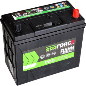 Аккумулятор Fiamm 6 CT-50-R Ecoforce AFB TRN50
