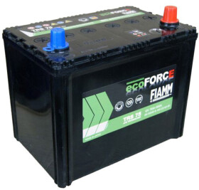Аккумулятор Fiamm 6 CT-75-R Ecoforce AFB TRS75
