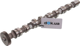 Распредвал Kolbenschmidt 50007022