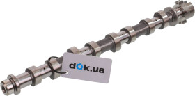 Распредвал Kolbenschmidt 50007710