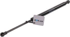 Головне фото