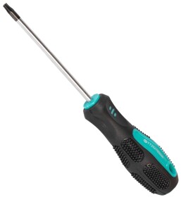 Викрутка MasterTool 49-0201 T20