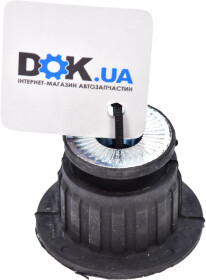 Головне фото