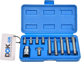 Набор бит Vorel 66770 10 шт.