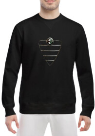 Свитшот мужской Globuspioner Alfa Romeo Lattice спереди класический рукав чёрный