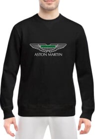 Свитшот мужской Globuspioner Aston Martin Vector Logo Green спереди класический рукав чёрный