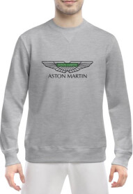 Свитшот мужской Globuspioner Aston Martin Vector Logo Green спереди класический рукав серый