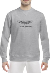 Свитшот мужской Globuspioner Aston Martin Vector Logo спереди класический рукав серый