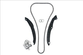 Комплект цепи ГРМ Borsehung b19229