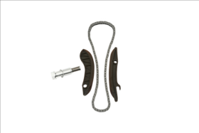 Комплект ланцюга ГРМ Borsehung b18852