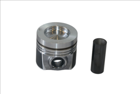 Поршень двигателя Borsehung b19298