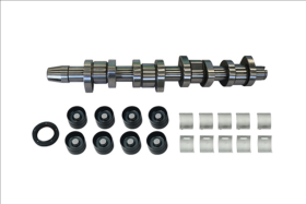 Комплект розподільного вала Borsehung b11307