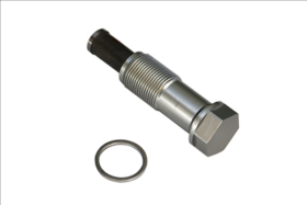 Натяжитель цепи ГРМ Borsehung b1t020