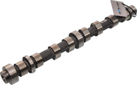 Распредвал Freccia cm052265