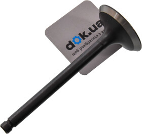 Впускной клапан BGA V003639