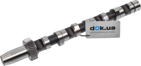 Распредвал Kolbenschmidt 50006301