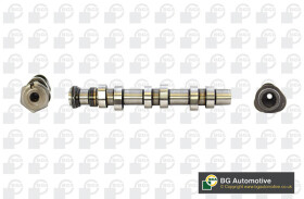 Распредвал BGA CS8200