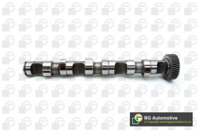 Распредвал BGA CS3594