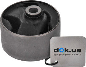 Головне фото