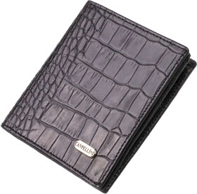 Портмоне-органайзер Canpellini 21738 без логотипа авто колір чорний