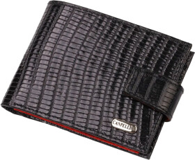 Портмоне-органайзер Canpellini 21751 без логотипа авто черный